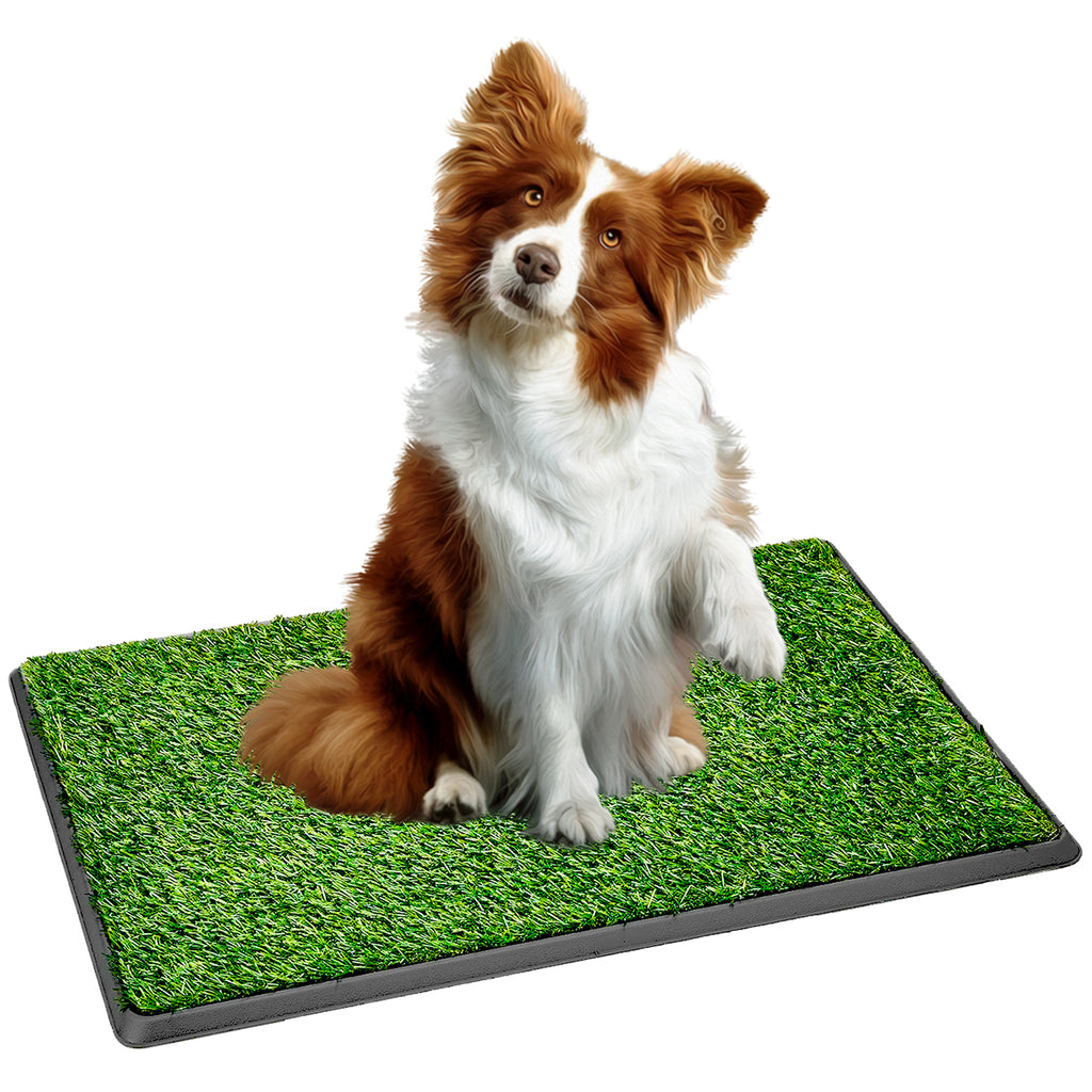 Tapete Entrenador De Perros Pasto Sintético Antifuga 50x76cm Verde