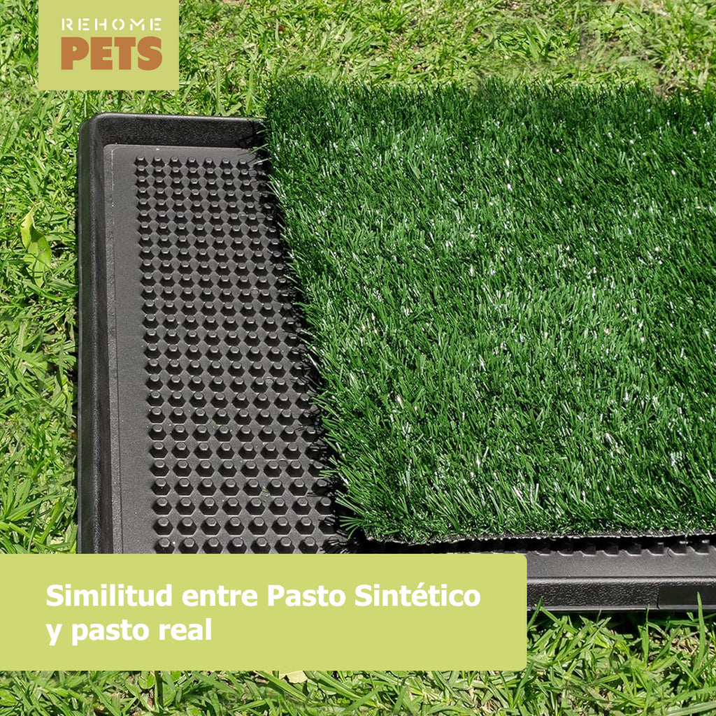 Tapete Entrenador De Perros Pasto Sintético Antifuga 50x76cm Verde