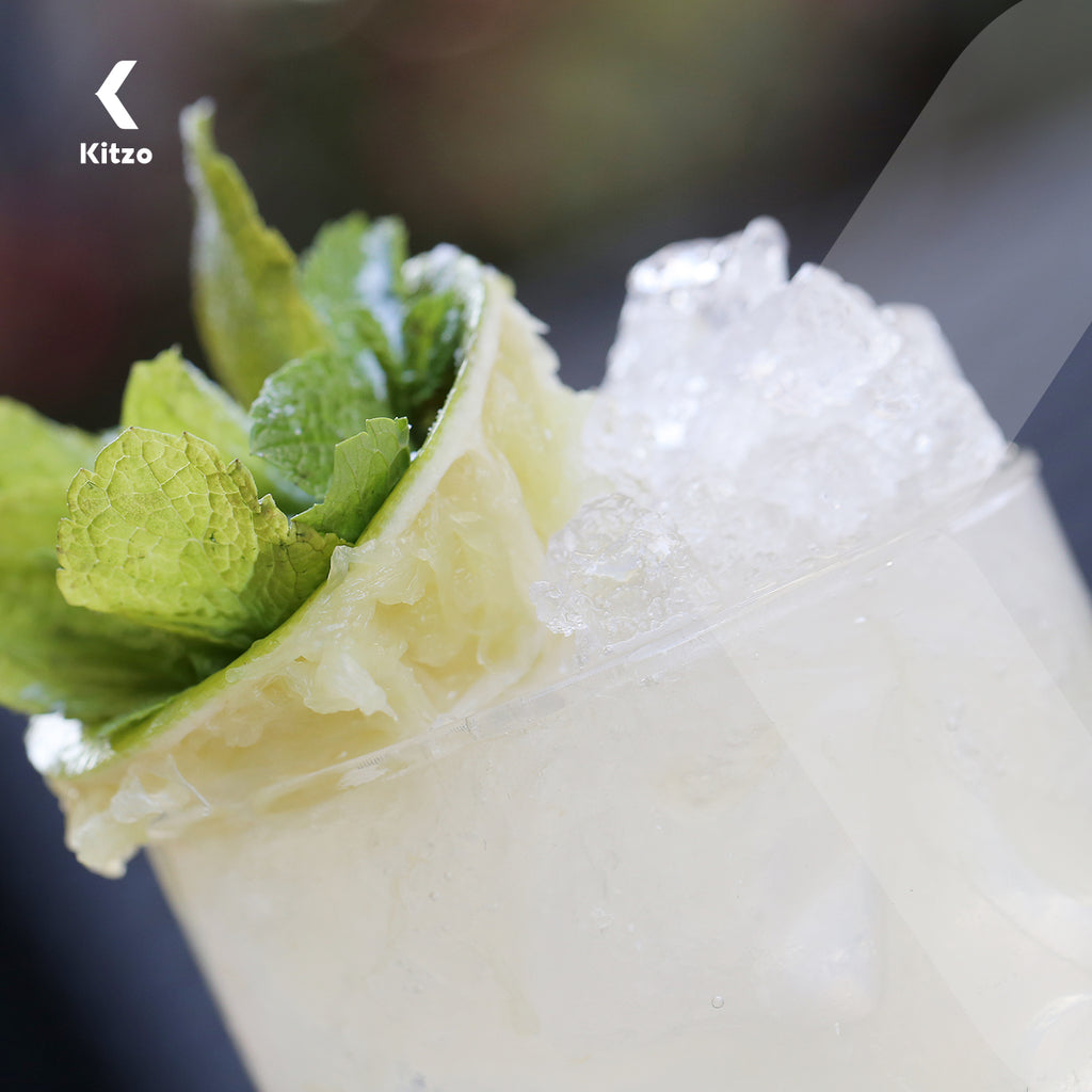 Picahielo Eléctrico de Alta Potencia – Doble Uso Hogar o Negocio