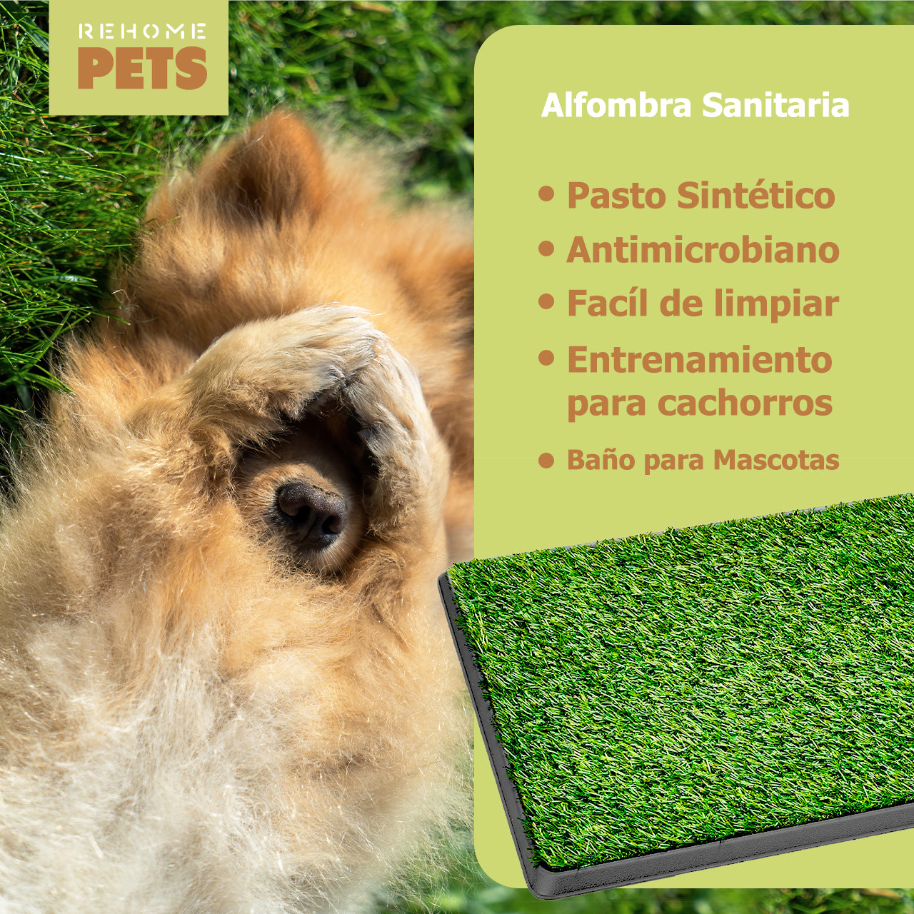 Tapete Entrenador De Perros Pasto Sintético Antifuga 50x76cm Verde