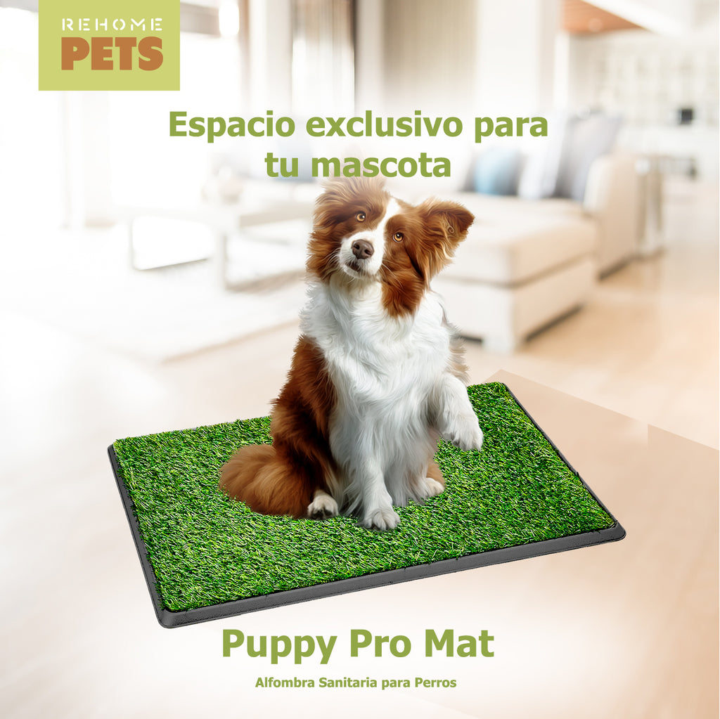 Tapete Entrenador De Perros Pasto Sintético Antifuga 50x76cm Verde